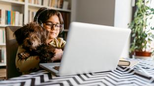 Ein Kind sitzt zuhause am Laptop und hat seinem Hund auf dem Schoß (Foto: Imago Images/Westend61)